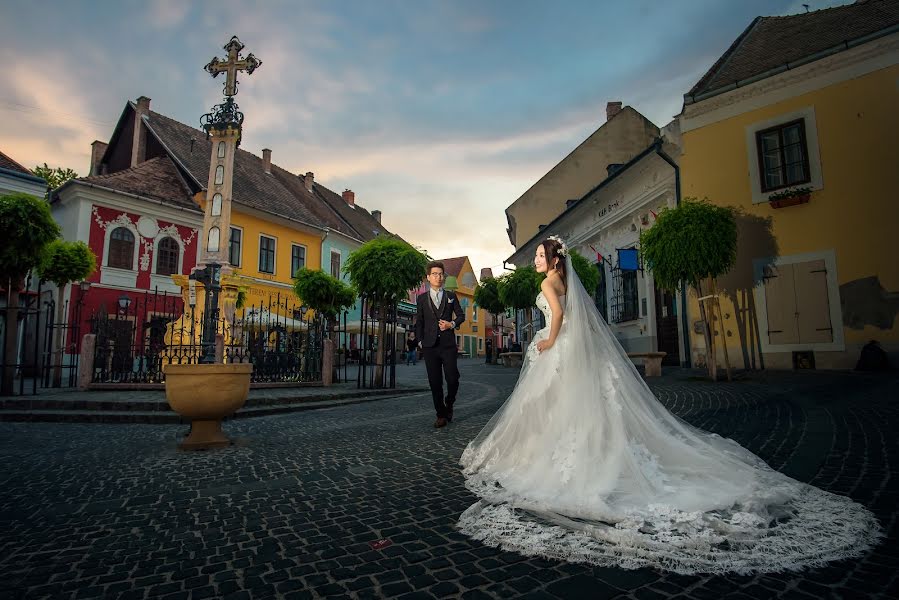 Hochzeitsfotograf Bence Pányoki (panyokibence). Foto vom 7. Juni 2017