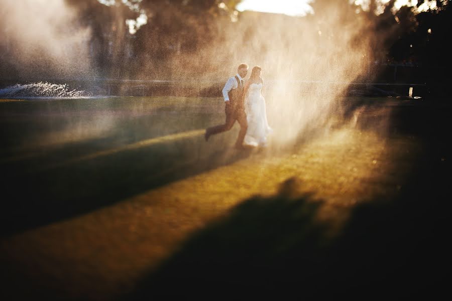 Fotografo di matrimoni Yuriy Meleshko (whitelight). Foto del 22 novembre 2022