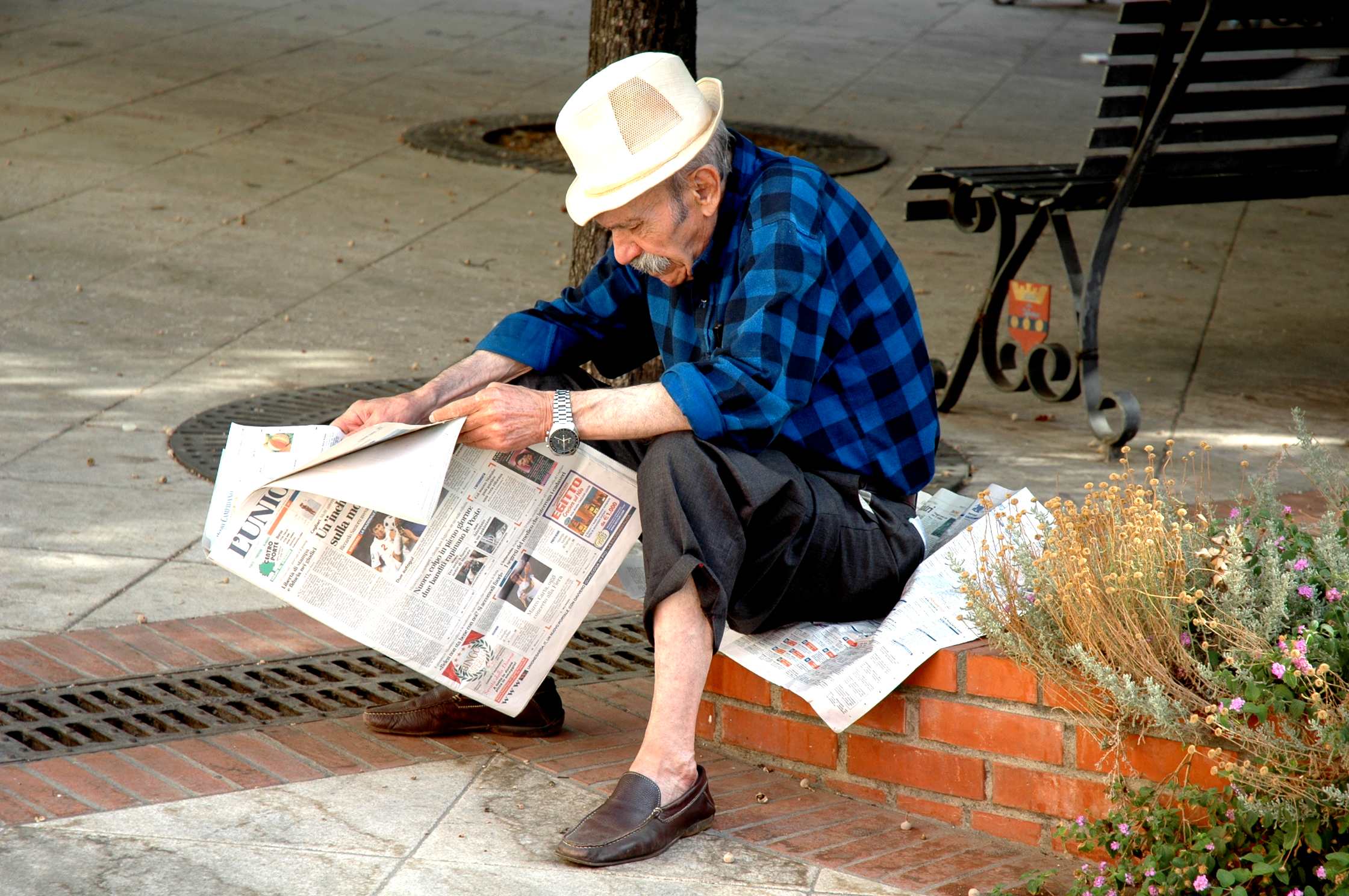 cultura e giornali... di tomaso melis