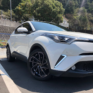 C-HR ZYX10