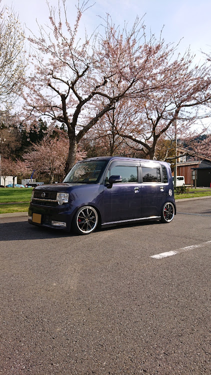 ムーヴコンテカスタムの桜・クレンツェヴェラーエ・スモークフィルムに関するカスタム事例の投稿画像1枚目