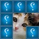 Download Guess photos. For PC Windows and Mac