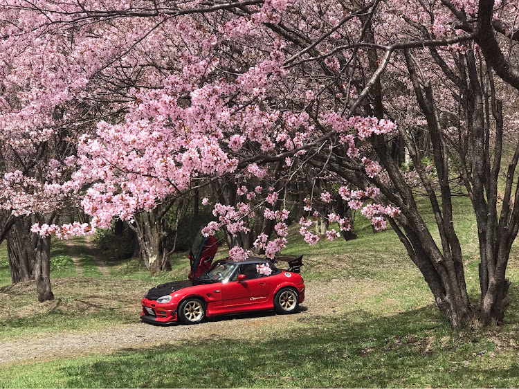 カプチーノのBABY -_- SUPERCAR☆・ムネリンさん撮影・MINIクラブマン・QUONチョコレート・КЁИに関するカスタム事例の投稿画像8枚目