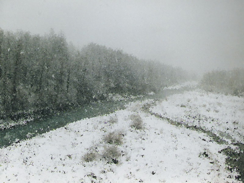 " Bufera di neve " di Brigante