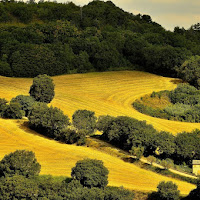 Bicromia campagna marchigiana di 