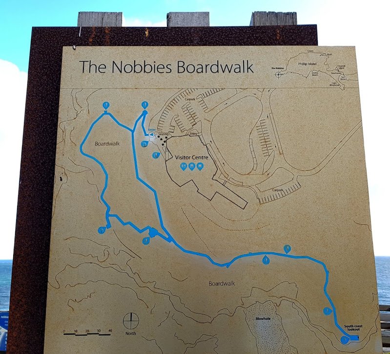 Map of the Nobbies Boardwalk. Phillip Island