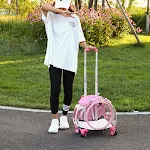 Style 8