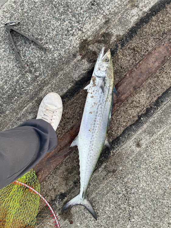 ハイラックスの釣り・秋の気配・バイクも好きに関するカスタム事例の投稿画像2枚目