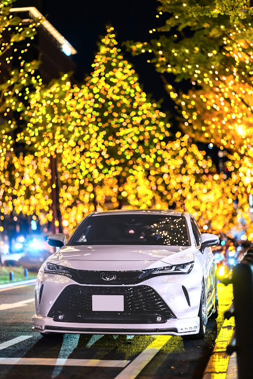 ハリアーのファインダー越しの世界・単焦点レンズの世界・御堂筋イルミネーション2023・寒い・低いようで低くない丁度良い高さに関するカスタム事例の投稿画像2枚目