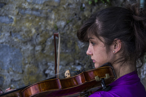 Tocco di velluto di Ph. Flavio Catelani