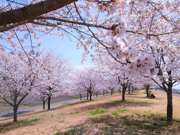 の投稿画像4枚目