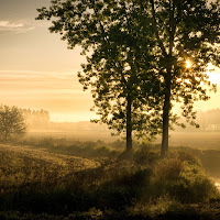 La prima luce del mattino di 