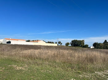 maison neuve à Ciré-d'Aunis (17)