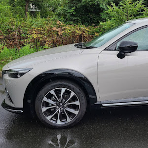 CX-3 DKLFW