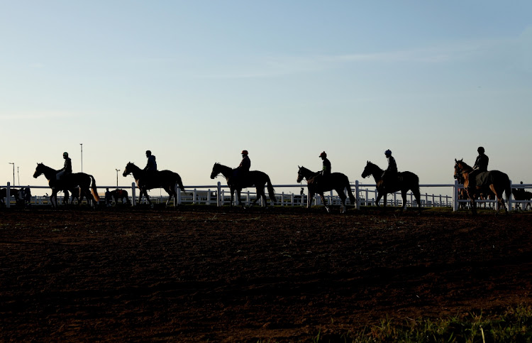 Horses are silhouetted as they train for the Holywoodbets Durban July at Summerveld Horse Training Centre in KwaZulu-Natal.