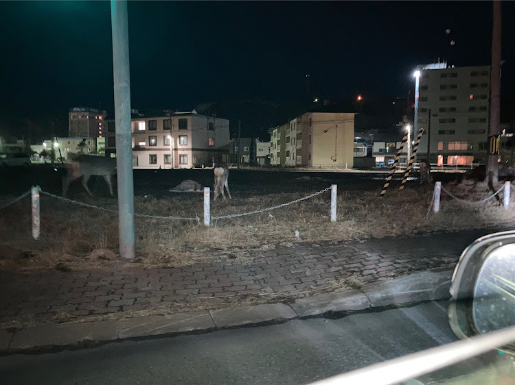 ricさんが投稿した春の交通安全週間・ドライブ・旅行・旅行記に関するカスタム事例の投稿画像6枚目