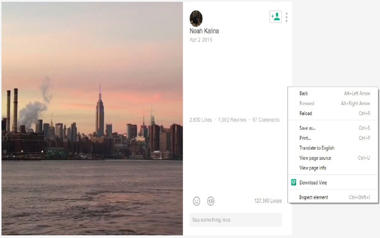 Vine Downloader Preview image 0