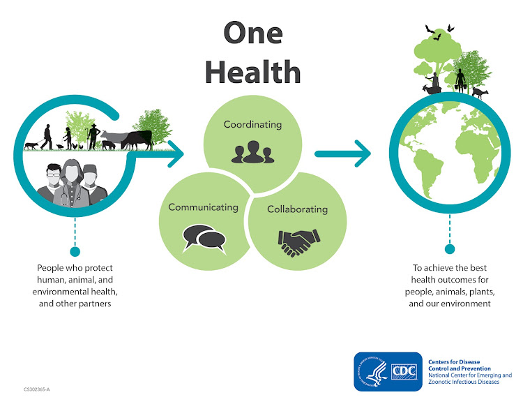 The “One Health” approach connects the health of humans, animals and our planet.