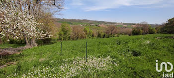 maison à Saint-medard (31)