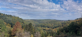 terrain à Hommert (57)