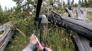 Wyoming Public Land Elk thumbnail