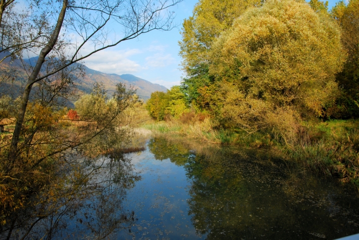 Specchio in natura di Roberto58