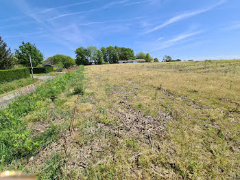 terrain à Sainte-Marie-de-Gosse (40)