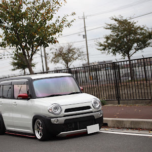 ハスラー MR41S