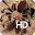 Desert Blonde Tarantula HD Wallpaper Download on Windows