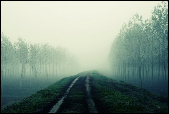 Vagando nella nebbia... di Acidella71