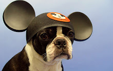 Boston Terrier Wallpapers New Tab Theme small promo image