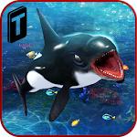 Cover Image of Tải xuống Killer Whale Beach Attack 3D 1.1 APK