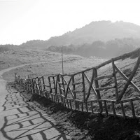 La strada verso casa. di 