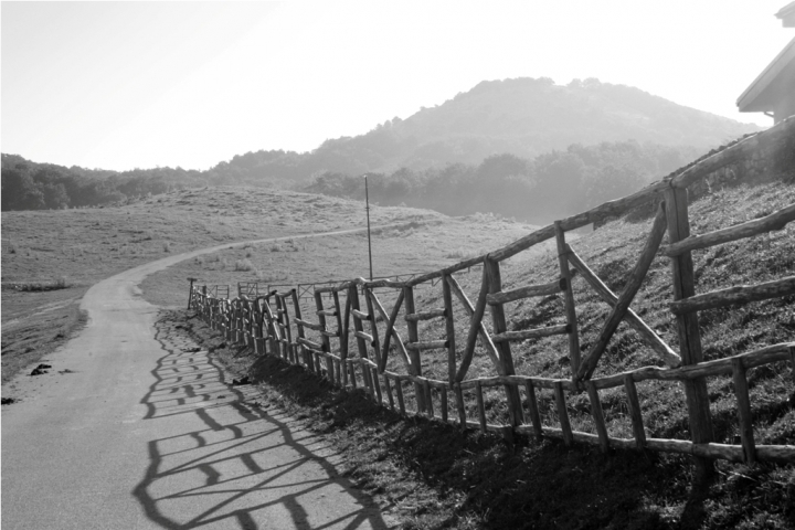 La strada verso casa. di bastard_inside_fra