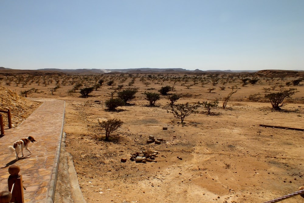 Wadi Dawkah, a terra do Frankincense