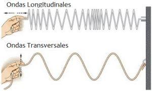 Las Ondas: Diferencia entre una Onda longitudinal y una Onda transversal