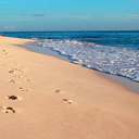 Footprints in the Sand