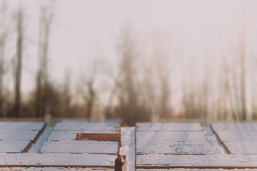 Fotógrafo de bodas Alena Kustova (easytolie). Foto del 22 de enero 2015