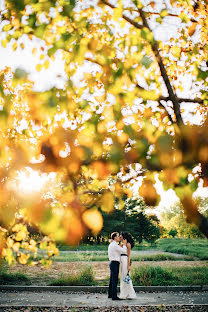 Wedding photographer Mikhail Toropov (ttlstudio). Photo of 24 April 2017