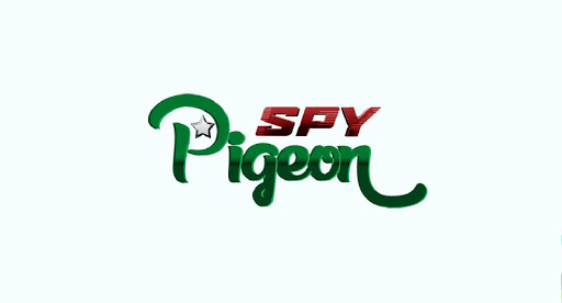 Spy Pigeon