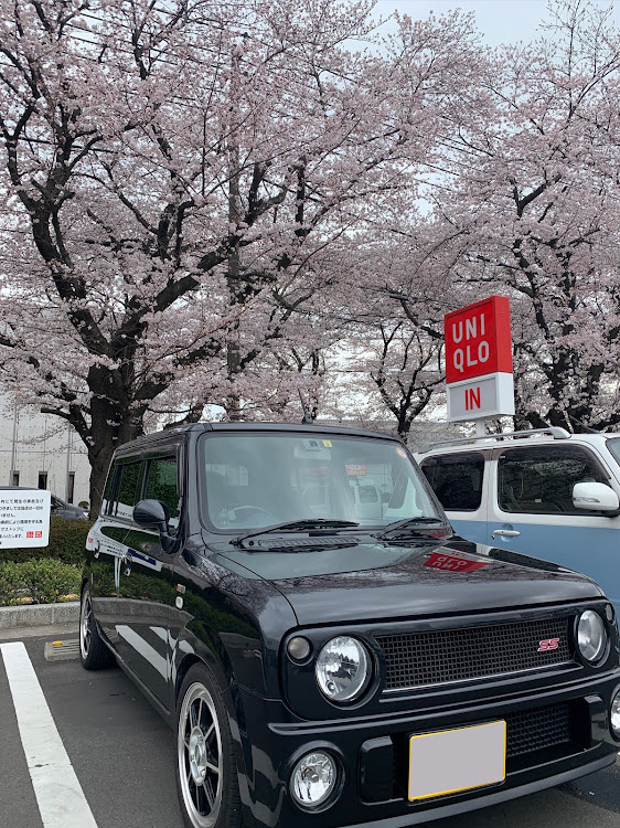 アルトラパンの桜とコラボ🌸・サクラと愛車・ラパンss・サクラパンに関するカスタム事例の投稿画像2枚目