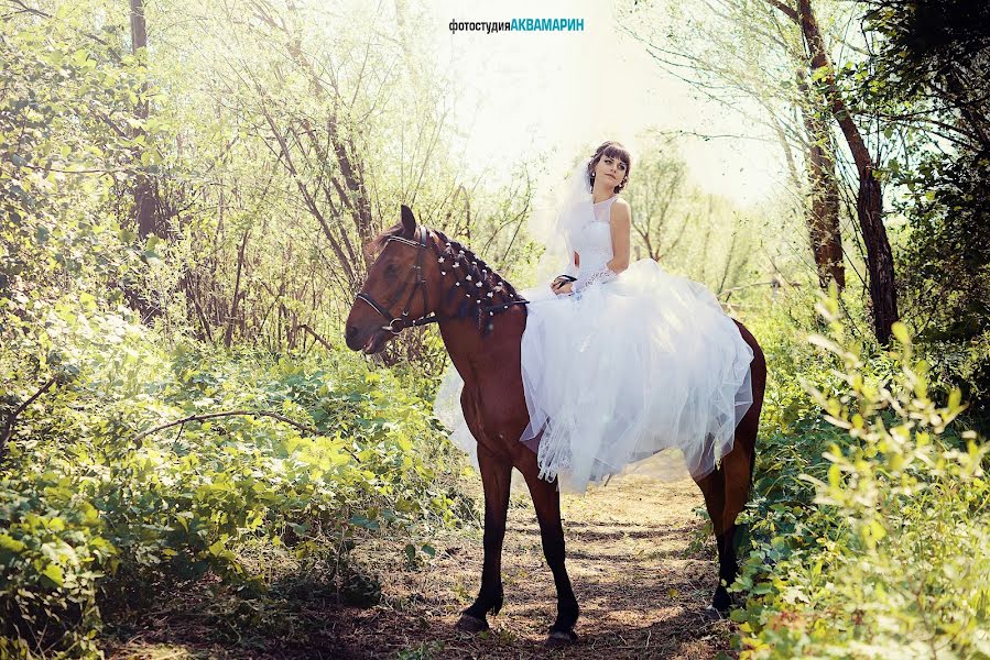 Wedding photographer Marina Alekseeva (akvamarin). Photo of 11 July 2015