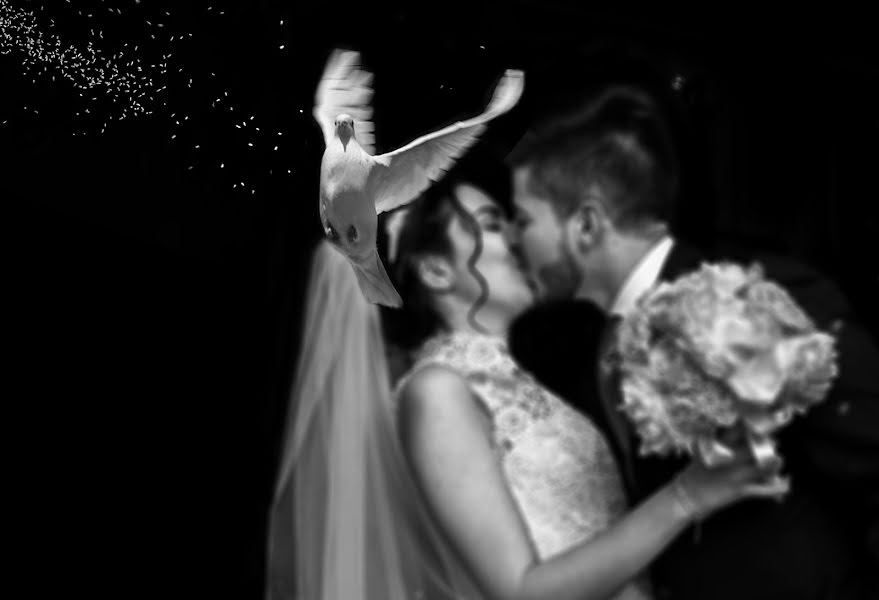 Wedding photographer Stefano Ferrier (stefanoferrier). Photo of 12 February 2019