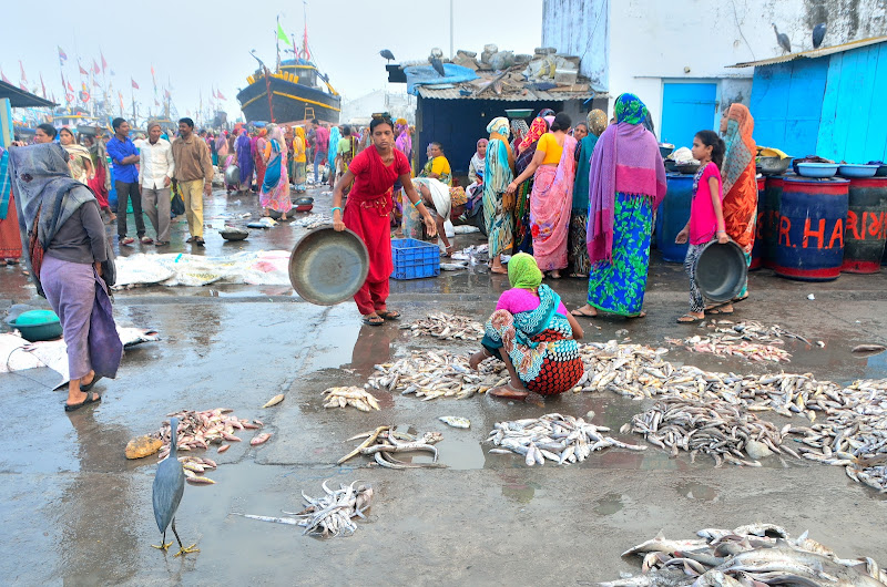 Fish Market #2 di matteo_maurizio_mauro