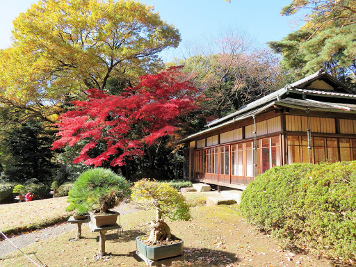 The Meiji Shrine Tokyo Japan 2017