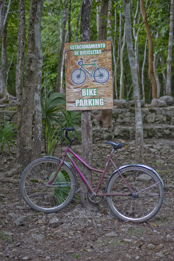 Cruise-Coba4 - Bicycle parking at Cobá. Bikes are available for rent at the entrance.