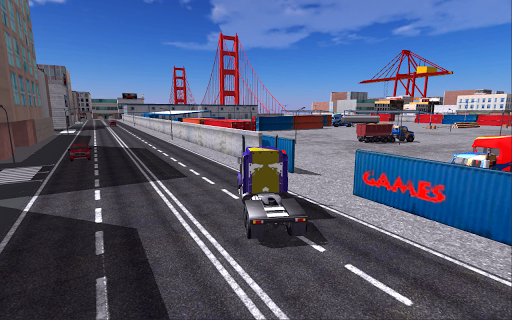 Truck Driver Cargo Transport