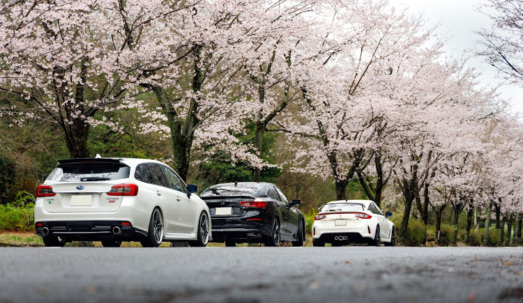 レヴォーグの桜・桜と愛車に関するカスタム事例の投稿画像5枚目
