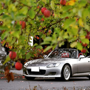 S2000 AP1