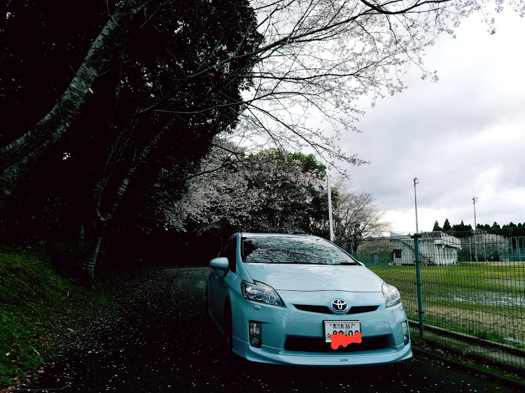 プリウスの桜と愛車に関するカスタム事例の投稿画像4枚目